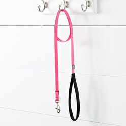Red Dingo Classic Nylon Dog Leash, Hot Pink, Small: 6-ft long, 5/8-in wide slide 2 of 8