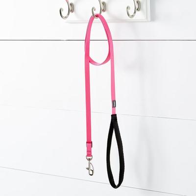 Show full view: Red Dingo Classic Nylon Dog Leash, Hot Pink, Small: 6-ft long, 5/8-in wide slide 2 of 11