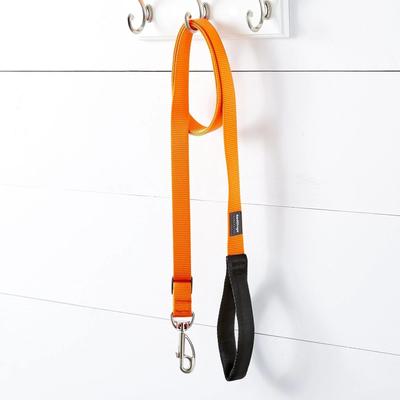 Show full view: Red Dingo Classic Nylon Dog Leash, Orange, Large: 6-ft long, 1-in wide slide 2 of 11