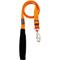 Show in main carousel: Red Dingo Classic Nylon Dog Leash, Orange, Large: 6-ft long, 1-in wide slide 3 of 11