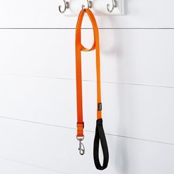 Red Dingo Classic Nylon Dog Leash, Orange, Medium: 6-ft long, 4/5-in wide slide 2 of 8