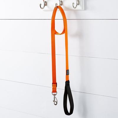 Show full view: Red Dingo Classic Nylon Dog Leash, Orange, Medium: 6-ft long, 4/5-in wide slide 2 of 11