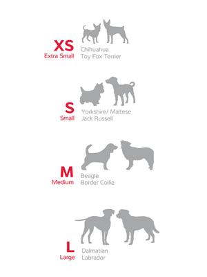 Show full view: Red Dingo Classic Nylon Dog Leash, Orange, Medium: 6-ft long, 4/5-in wide slide 6 of 11