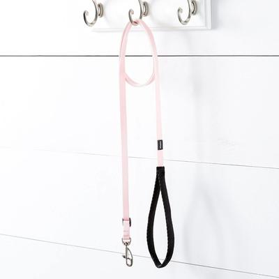 Show full view: Red Dingo Classic Nylon Dog Leash, Pink, X-Small: 6-ft long, 1/2-in wide slide 2 of 11