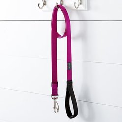 Red Dingo Classic Nylon Dog Leash, Purple, Large: 6-ft long, 1-in wide slide 2 of 8