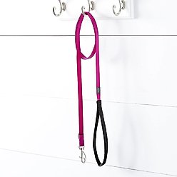 Red Dingo Classic Nylon Dog Leash, Purple, X-Small: 6-ft long, 1/2-in wide slide 2 of 8