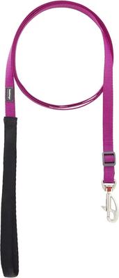 Show full view: Red Dingo Classic Nylon Dog Leash, Purple, X-Small: 6-ft long, 1/2-in wide slide 3 of 11