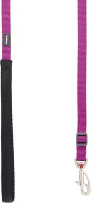 Show full view: Red Dingo Classic Nylon Dog Leash, Purple, X-Small: 6-ft long, 1/2-in wide slide 4 of 11