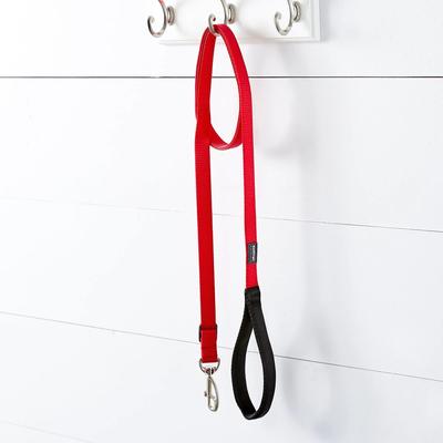 Show full view: Red Dingo Classic Nylon Dog Leash, Red, Medium: 6-ft long, 4/5-in wide slide 2 of 11