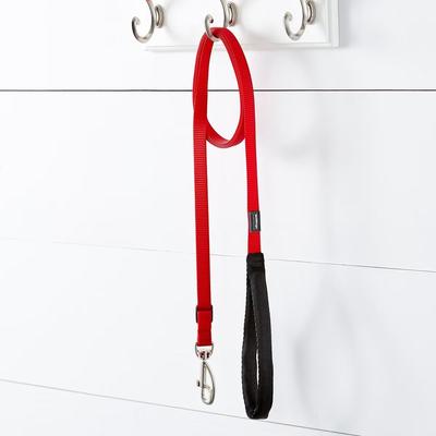 Show full view: Red Dingo Classic Nylon Dog Leash, Red, Small: 6-ft long, 5/8-in wide slide 3 of 12