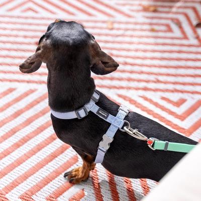 Show full view: Red Dingo Classic Pastel Dog Harness, Blue, Large: 22 to 31-in chest slide 6 of 7