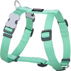 Red Dingo Classic Pastel Dog Harness, Green, Large: 22 to 31-in chest