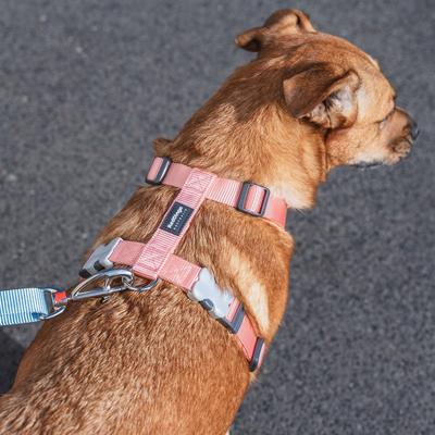 Show full view: Red Dingo Classic Pastel Dog Harness, Orange, Medium: 18 to 26-in chest slide 7 of 8