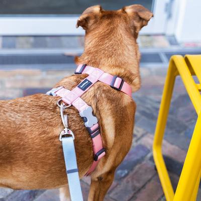 Show full view: Red Dingo Classic Pastel Dog Harness, Pink, Large: 22 to 31-in chest slide 7 of 8