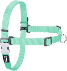 Red Dingo Classic Pastel No Pull Dog Harness, Green, Small: 7.2 to 9.6-in chest