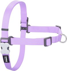 Red Dingo Classic Pastel No Pull Dog Harness, Purple, Medium/Large: 12 to 19.2-in chest
