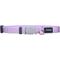 Show in main carousel: Red Dingo Classic Pastel Nylon Breakaway Cat Collar with Bell, 8 to 13-in neck, 1/2-in wide, Purple slide 3 of 7