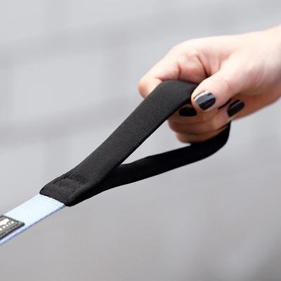 Show full view: Red Dingo Classic Pastel Nylon Dog Leash, Blue, Medium: 6-ft long, 4/5-in wide slide 7 of 7