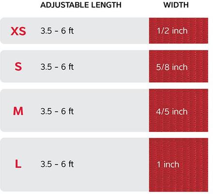 Show full view: Red Dingo Classic Pastel Nylon Dog Leash, Blue, X-Small: 6-ft long, 1/2-in wide slide 5 of 6