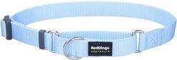 Red Dingo Classic Pastel Nylon Martingale Dog Collar, Blue, Medium: 12.5 to 18.5-in neck, 4/5-in wide