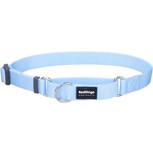 Red Dingo Classic Pastel Nylon Martingale Dog Collar, Blue, Medium: 12.5 to 18.5-in neck, 4/5-in wide