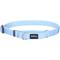Show in main carousel: Red Dingo Classic Pastel Nylon Martingale Dog Collar, Blue, X-Small: 8.25 to 13-in neck, 1/2-in wide slide 1 of 6