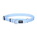 Red Dingo Classic Pastel Nylon Martingale Dog Collar, Blue, X-Small: 8.25 to 13-in neck, 1/2-in wide