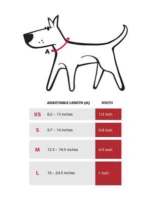 Show full view: Red Dingo Classic Pastel Nylon Martingale Dog Collar, Blue, X-Small: 8.25 to 13-in neck, 1/2-in wide slide 5 of 6
