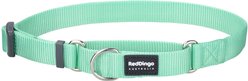 Red Dingo Classic Pastel Nylon Martingale Dog Collar, Green, X-Small: 8.25 to 13-in neck, 1/2-in wide