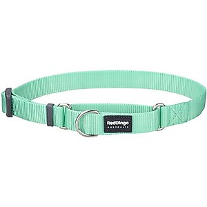 Red Dingo Classic Pastel Nylon Martingale Dog Collar, Green, X-Small: 8.25 to 13-in neck, 1/2-in wide