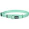 Show in main carousel: Red Dingo Classic Pastel Nylon Martingale Dog Collar, Green, X-Small: 8.25 to 13-in neck, 1/2-in wide slide 1 of 7