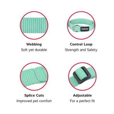 Show full view: Red Dingo Classic Pastel Nylon Martingale Dog Collar, Green, X-Small: 8.25 to 13-in neck, 1/2-in wide slide 3 of 7