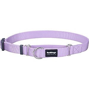 Red Dingo Classic Pastel Nylon Martingale Dog Collar, Purple, Large: 16 to 24.5-in neck, 1-in wide