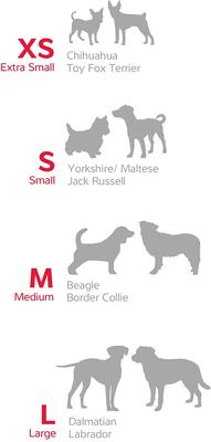 Show full view: Red Dingo Classic Pastel Nylon Martingale Dog Collar, Purple, Large: 16 to 24.5-in neck, 1-in wide slide 4 of 6