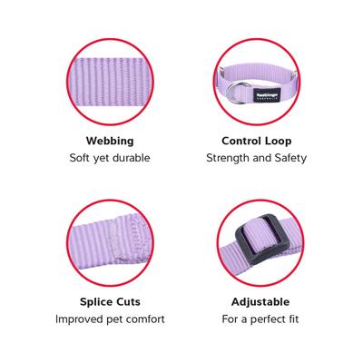 Show full view: Red Dingo Classic Pastel Nylon Martingale Dog Collar, Purple, Large: 16 to 24.5-in neck, 1-in wide slide 2 of 6