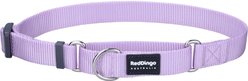 Red Dingo Classic Pastel Nylon Martingale Dog Collar, Purple, Small: 9.75 to 14-in neck, 5/8-in wide