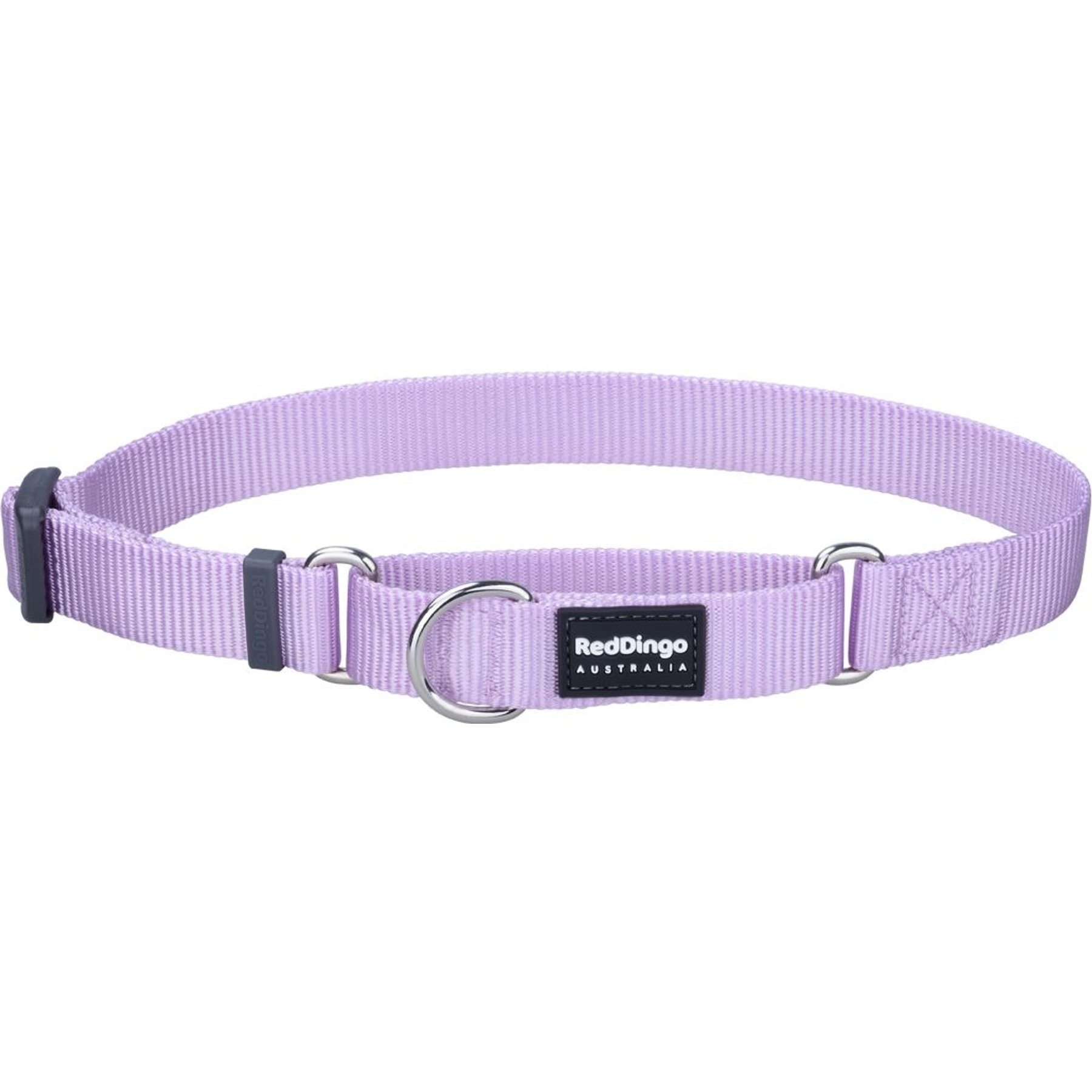 Red Dingo Classic Pastel Nylon Martingale Dog Collar, Purple, X-Small: 8.25 to 13-in neck, 1/2-in wide