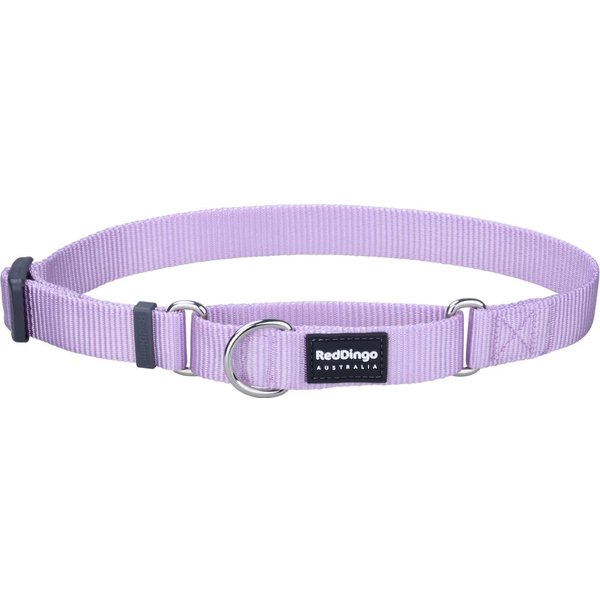 Red Dingo Classic Dog Collar