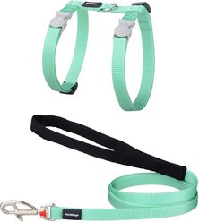 Red Dingo Classic Pastel Reflective Cat Harness & Leash, 4-ft long, 1/2-in wide, Green