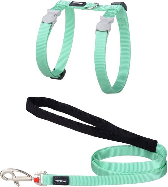 Show full view: Red Dingo Classic Pastel Reflective Cat Harness & Leash, 4-ft long, 1/2-in wide, Green slide 1 of 5