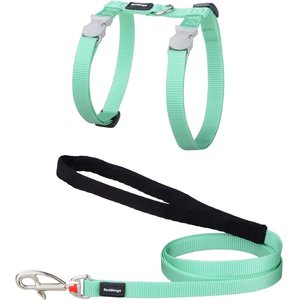 Red Dingo Classic Pastel Reflective Cat Harness & Leash, 4-ft long, 1/2-in wide, Green