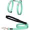 Show in main carousel: Red Dingo Classic Pastel Reflective Cat Harness & Leash, 4-ft long, 1/2-in wide, Green slide 1 of 6