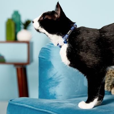 Show full view: Red Dingo Cosmos Nylon Breakaway Cat Collar with Bell, Dark Blue, 8 to 12.5-in neck, 1/2-in wide slide 6 of 9