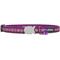Show in main carousel: Red Dingo Daisy Chain Nylon Breakaway Cat Collar with Bell, Purple, 8 to 12.5-in neck, 1/2-in wide slide 3 of 9