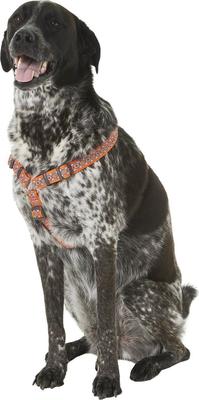 Show full view: Red Dingo Designer Snake Eyes Nylon Back Clip Dog Harness, Orange, Large: 22 to 31.5-in chest slide 2 of 10