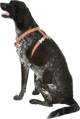 Show full view: Red Dingo Designer Snake Eyes Nylon Back Clip Dog Harness, Orange, Large: 22 to 31.5-in chest slide 3 of 10