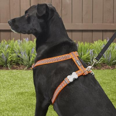 Show full view: Red Dingo Designer Snake Eyes Nylon Back Clip Dog Harness, Orange, Large: 22 to 31.5-in chest slide 4 of 10