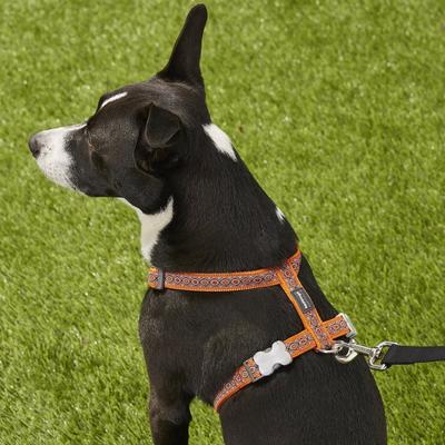 Show full view: Red Dingo Designer Snake Eyes Nylon Back Clip Dog Harness, Orange, Medium: 17.7 to 26-in chest slide 4 of 10