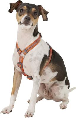 Show full view: Red Dingo Designer Snake Eyes Nylon Back Clip Dog Harness, Orange, Small: 14.2 to 21.3-in chest slide 2 of 10