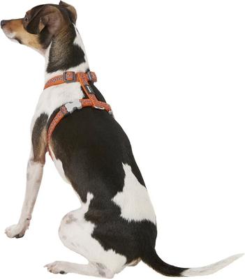 Show full view: Red Dingo Designer Snake Eyes Nylon Back Clip Dog Harness, Orange, Small: 14.2 to 21.3-in chest slide 3 of 10